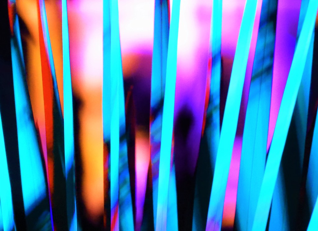 Abstract Taken at the annual light show at the Los Angeles… Flickr