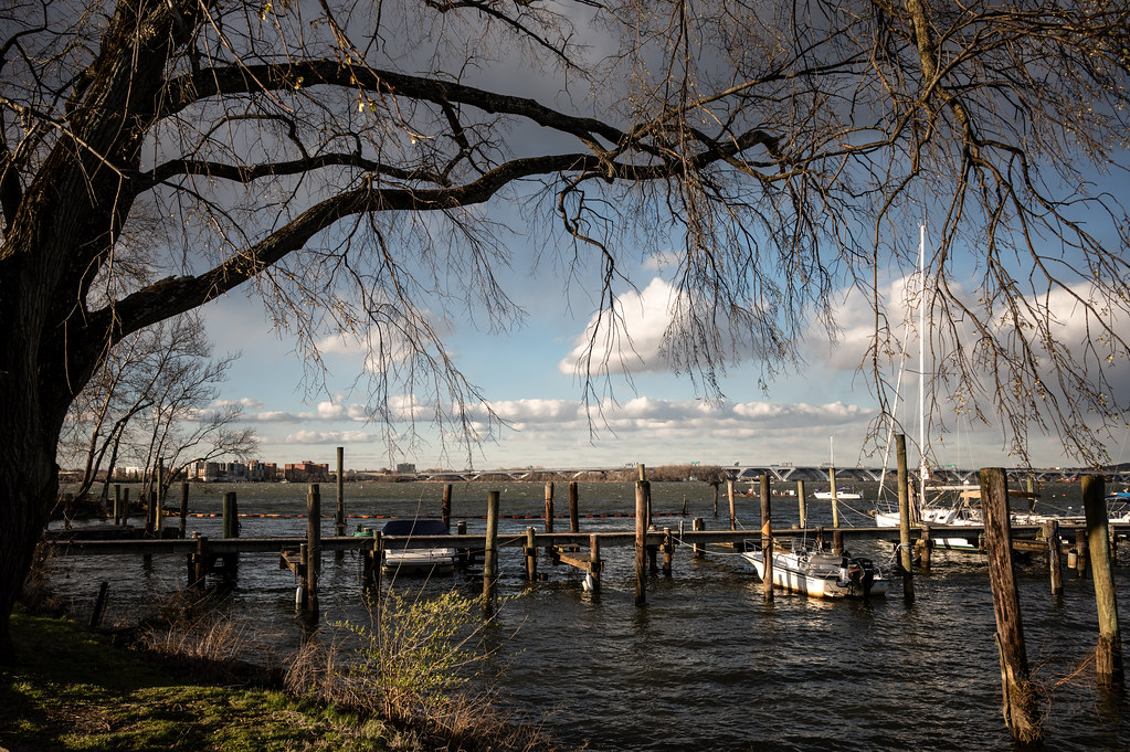 _WJW5363 Belle Haven Marina Fairfax County VA Bill Walderman Flickr