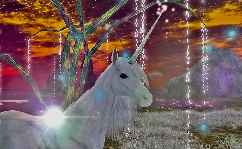 Wonderland3 Fee Flickr