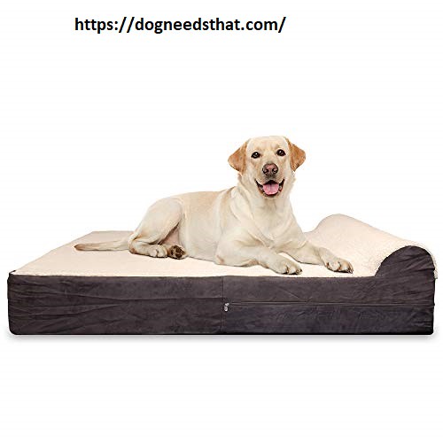 Best Beds For Dogs With Arthritis Review, Buying Guides & … Flickr