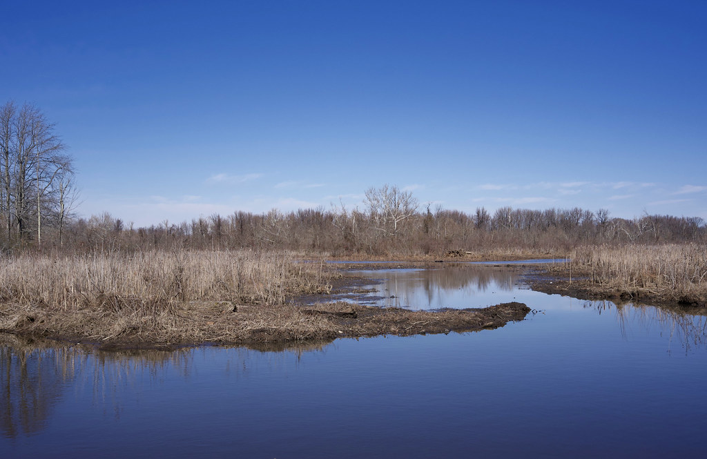 Occoquan Bay National Wildlife Refuge A small cove in the … Flickr