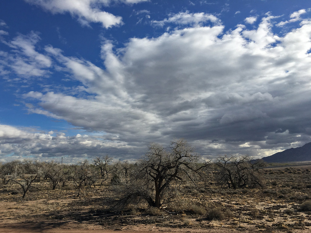 Albuquerque, North Valley. Sandia Mountains on the right. … Flickr