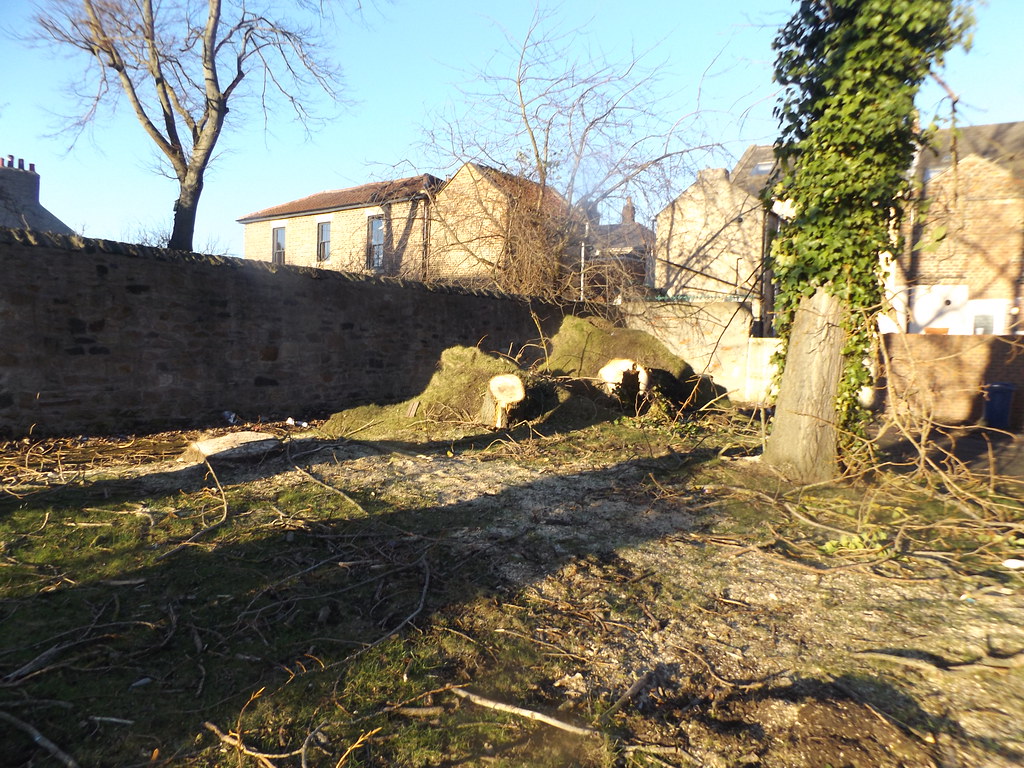 DSCF7681 Storm damage Claremont alfredstone Flickr
