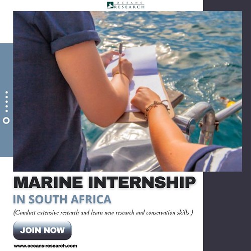 Marine Internship South Africa Dive into a fascinating wor… Flickr