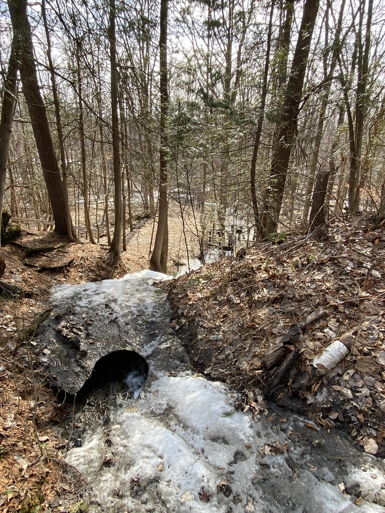 Untitled Paul Letellier Flickr