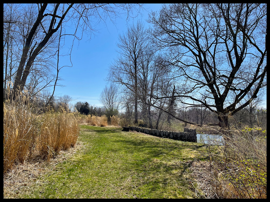 Turtle Lake Path Mad Hare Imagery Flickr
