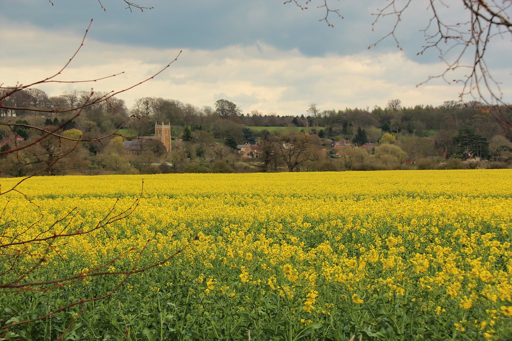 Woolsthorpe by Belvoir Keith Doubleday Flickr