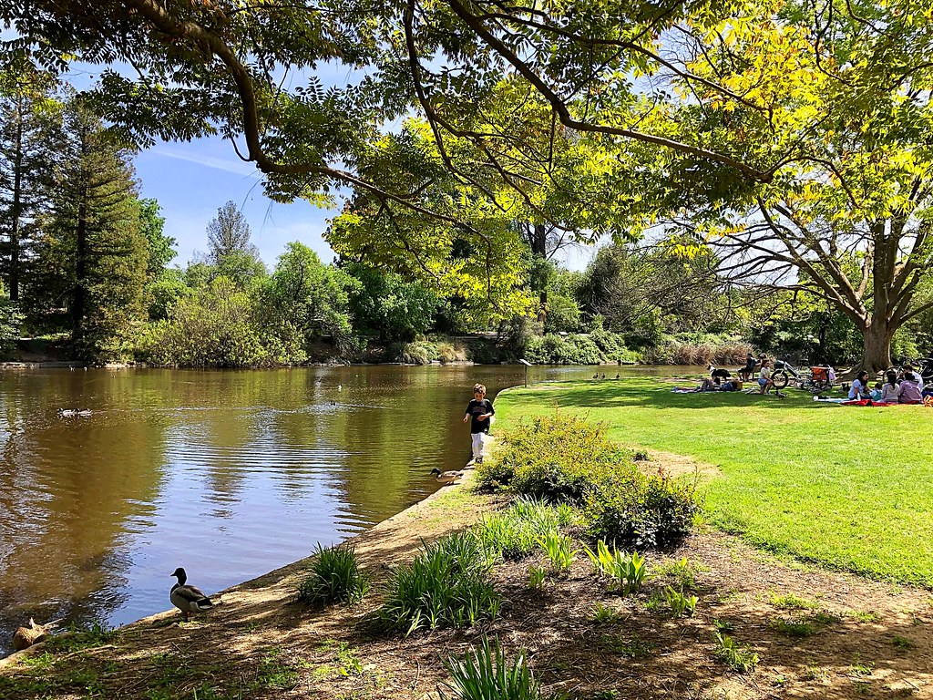 Davis, CA Exploring downtown Davis (including the Saturday… Flickr