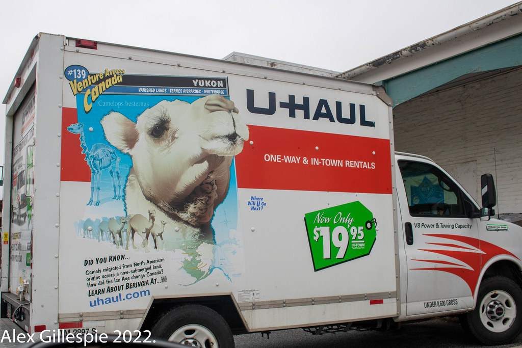 Uhaul Camel 2 Uhaul Camel at Agway West York, PA on March… Flickr