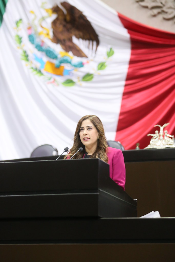 04/11/2021 Tribuna Diputada Esther Berenice Martínez Díaz Flickr