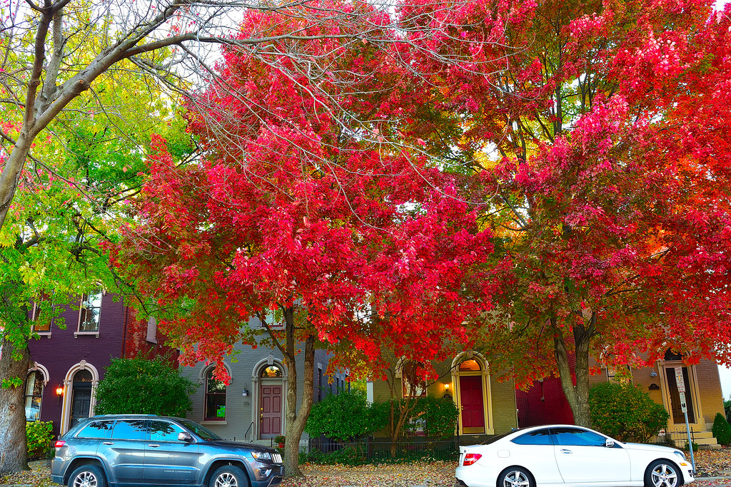 DSC_8094_B East 5th Street Mansion Hill, Newport KY (Cinc… Flickr