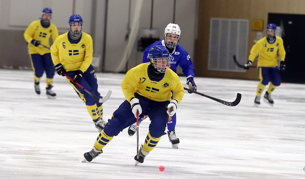 IMG_3851 Katrineholm Bandy Flickr