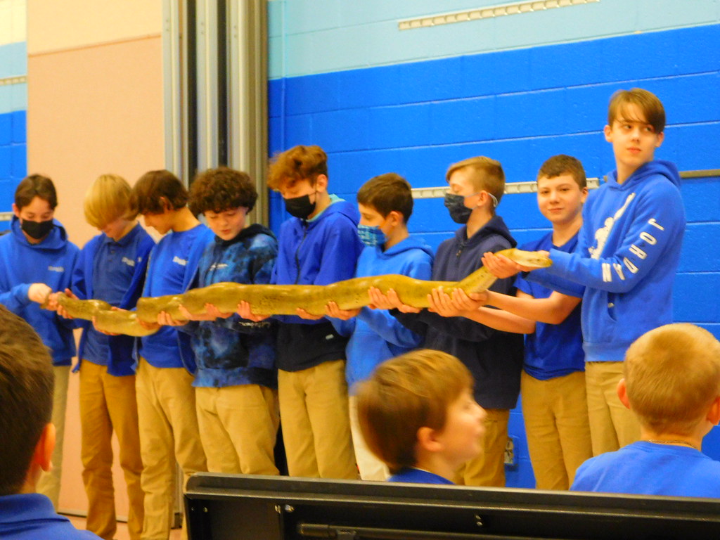 DSCN1008 The Hillside School Flickr