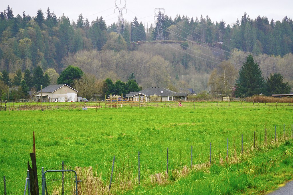 DSC01850 Machias, WA View SW from the Centennial Trail Oxbow_Lebach