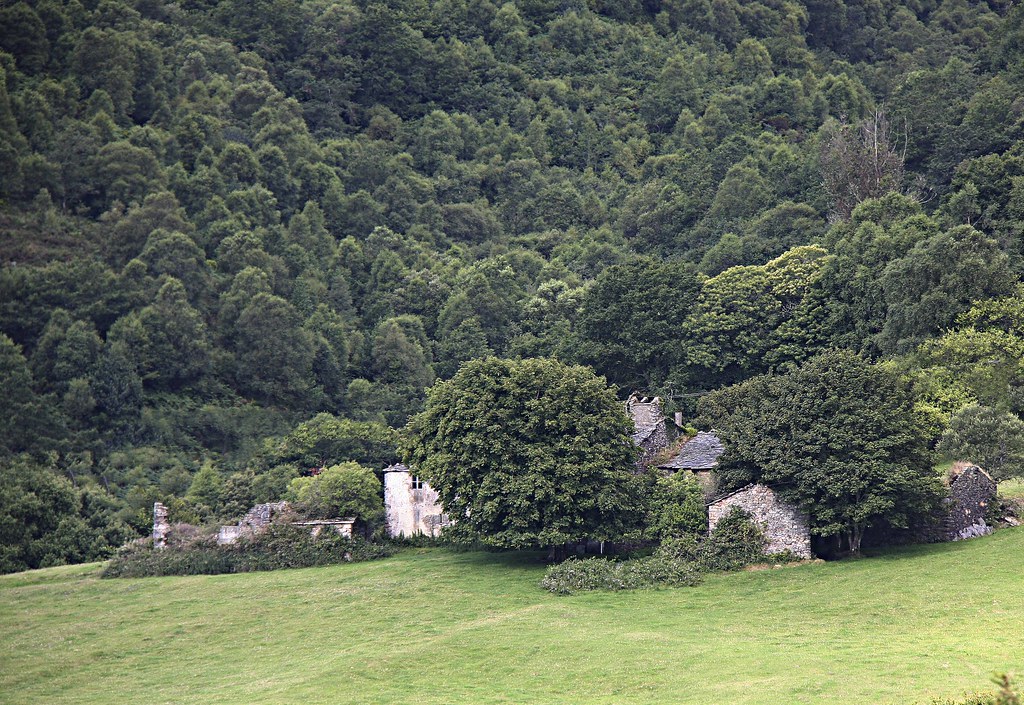 nature6691680 J DC Flickr