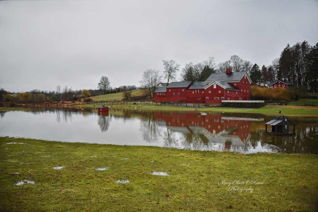 Lake Holly Bush Farm! and when the rain finally stopped, w… Flickr