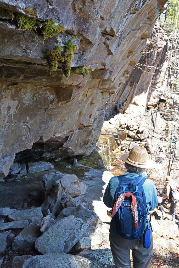 cavecreekbluffs076 Continue along bluffline Flickr
