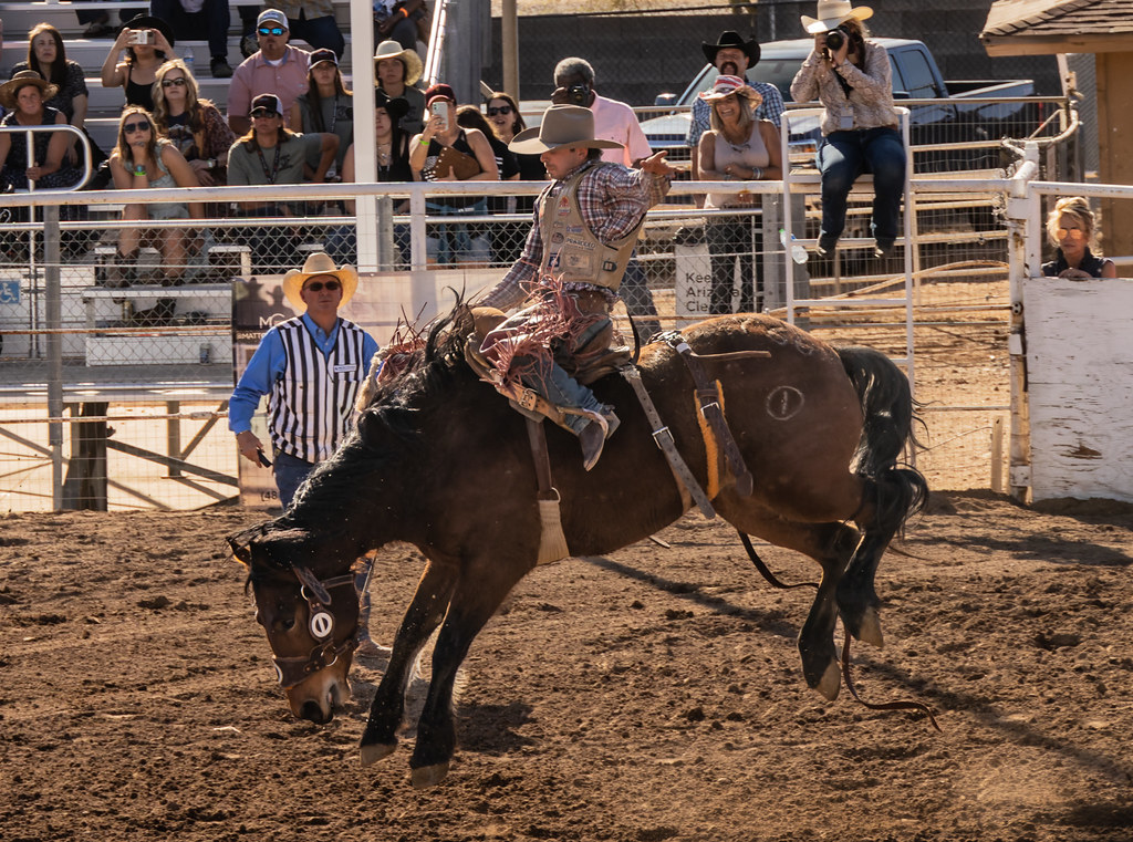 Cave Creek Rodeo 202273.jpg Marni Patterson Flickr