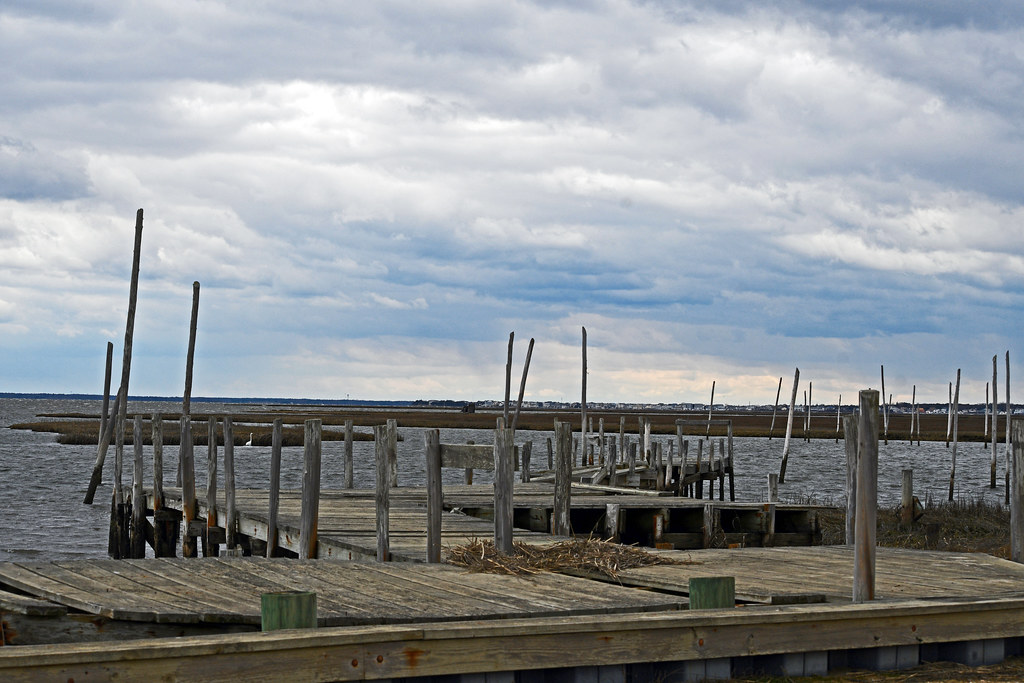 Little Egg Harbor Township, New Jersey a photo on Flickriver
