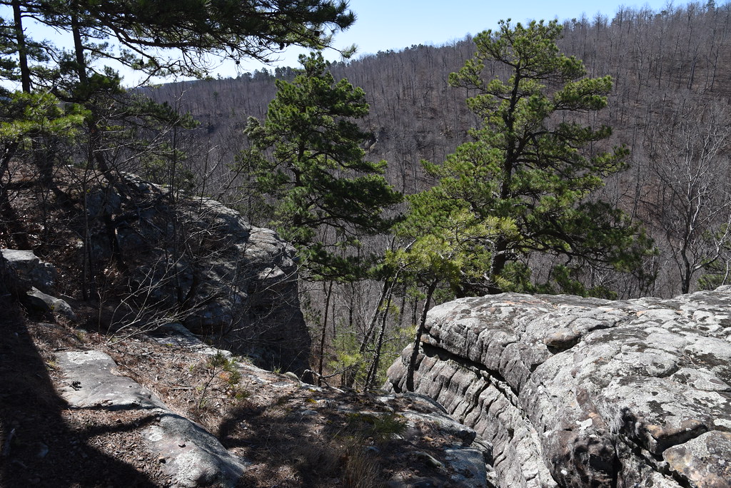 cavecreekbluffs006 Along the top of the bluffline headi… Flickr