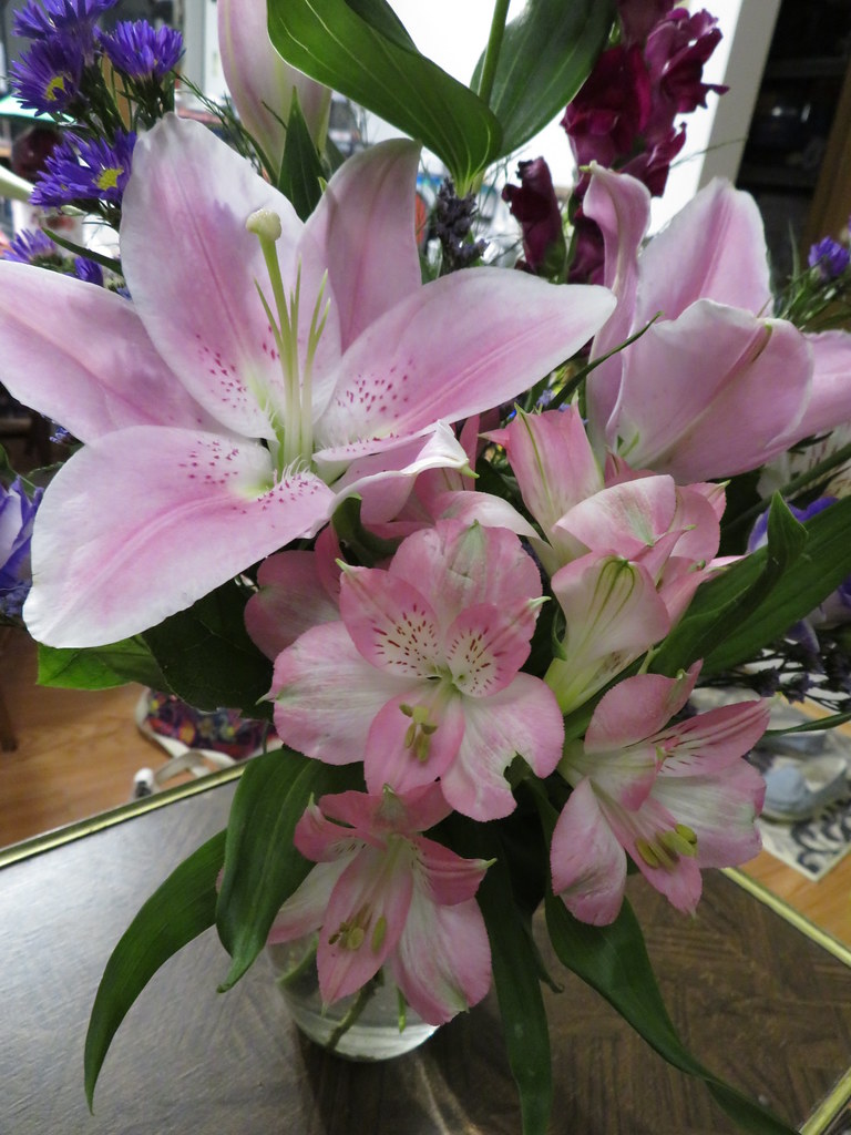 Flowers 07 Bonnie S Flickr