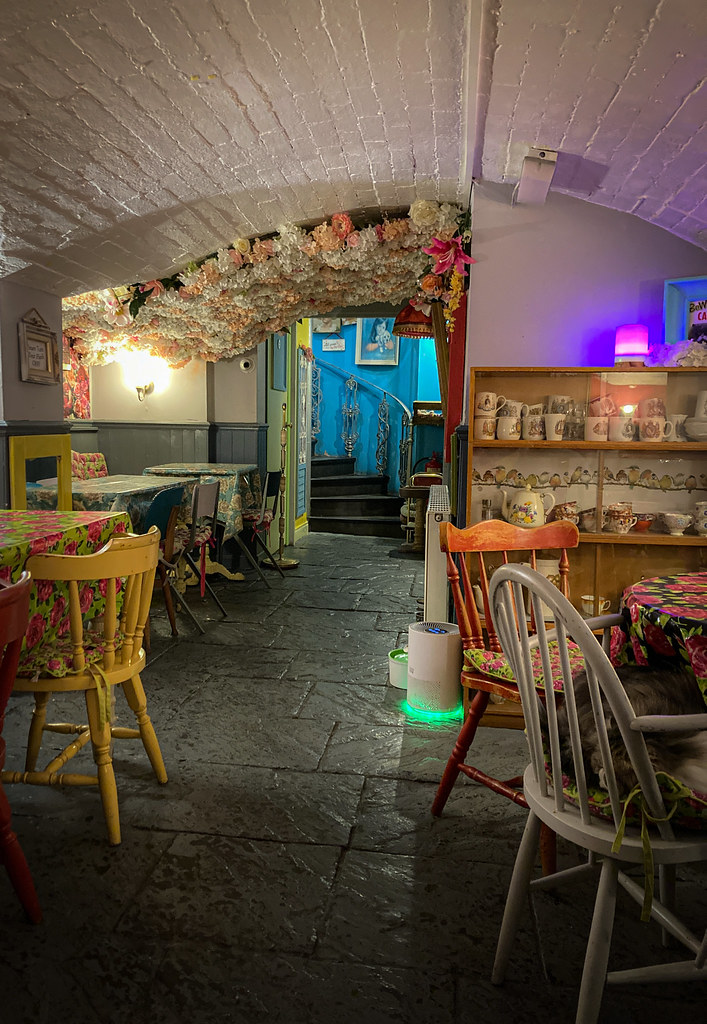 The Shakespaw Cat Cafe in Stratford upon Avon A wonderful … Flickr