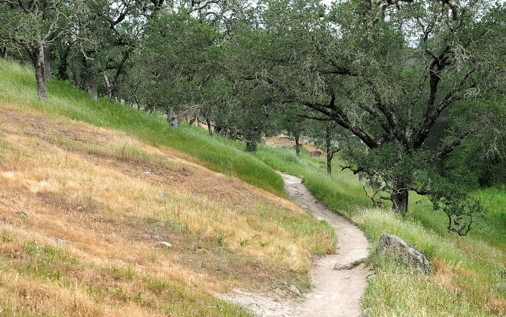 Heading north on Lower Quarry Trail Trail signs are only s… Flickr
