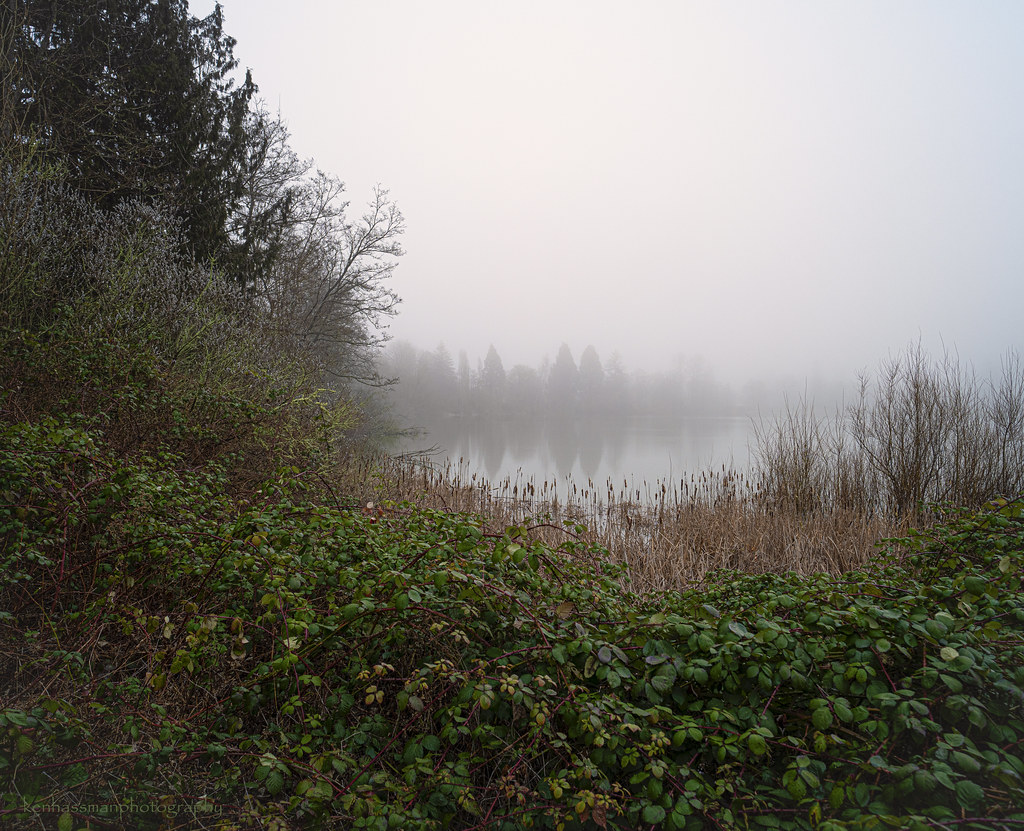 Early Morning Fog Looking Across Waughop Lake Fort Steil… Flickr