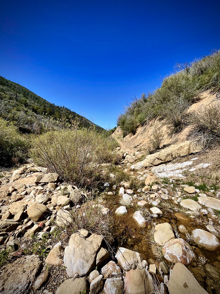 Creek crossing Antonio Calderon Flickr