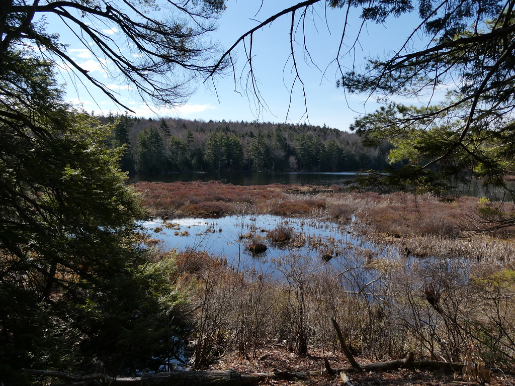 Cranberry Meadow Pond Wed Wanderers Flickr