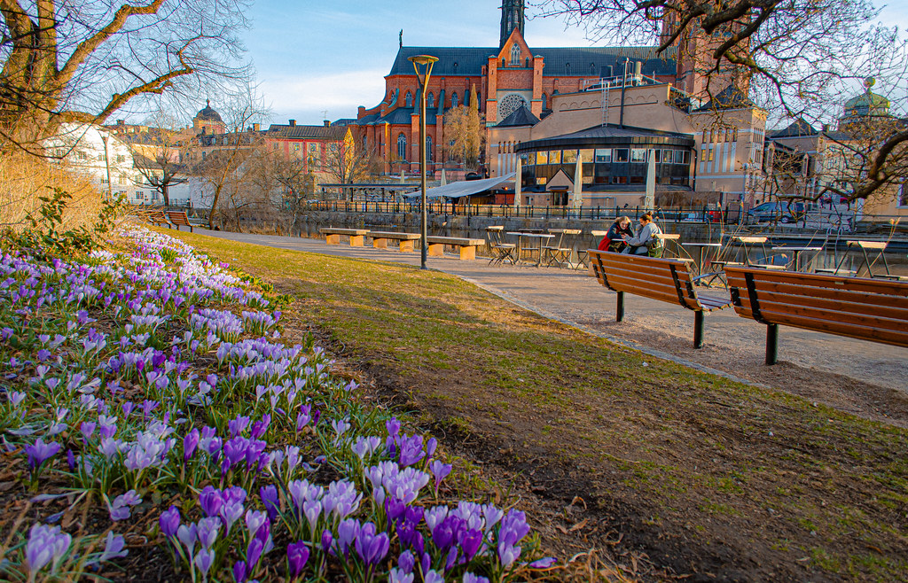Uppsala, spring flowers... an evening by the river, two fr… Flickr