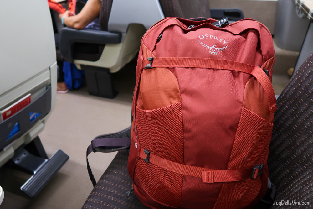 Osprey travel backpack Farpoint 40 female Review Joy Della Vita