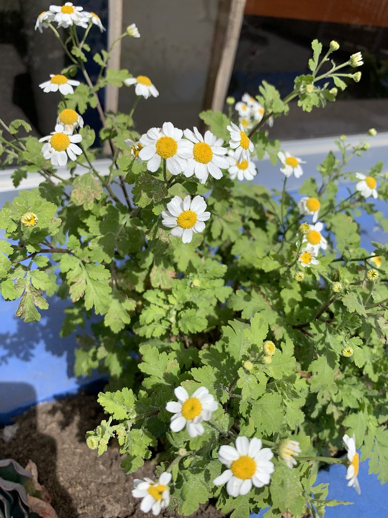 Untitled Faith Zabala Flickr