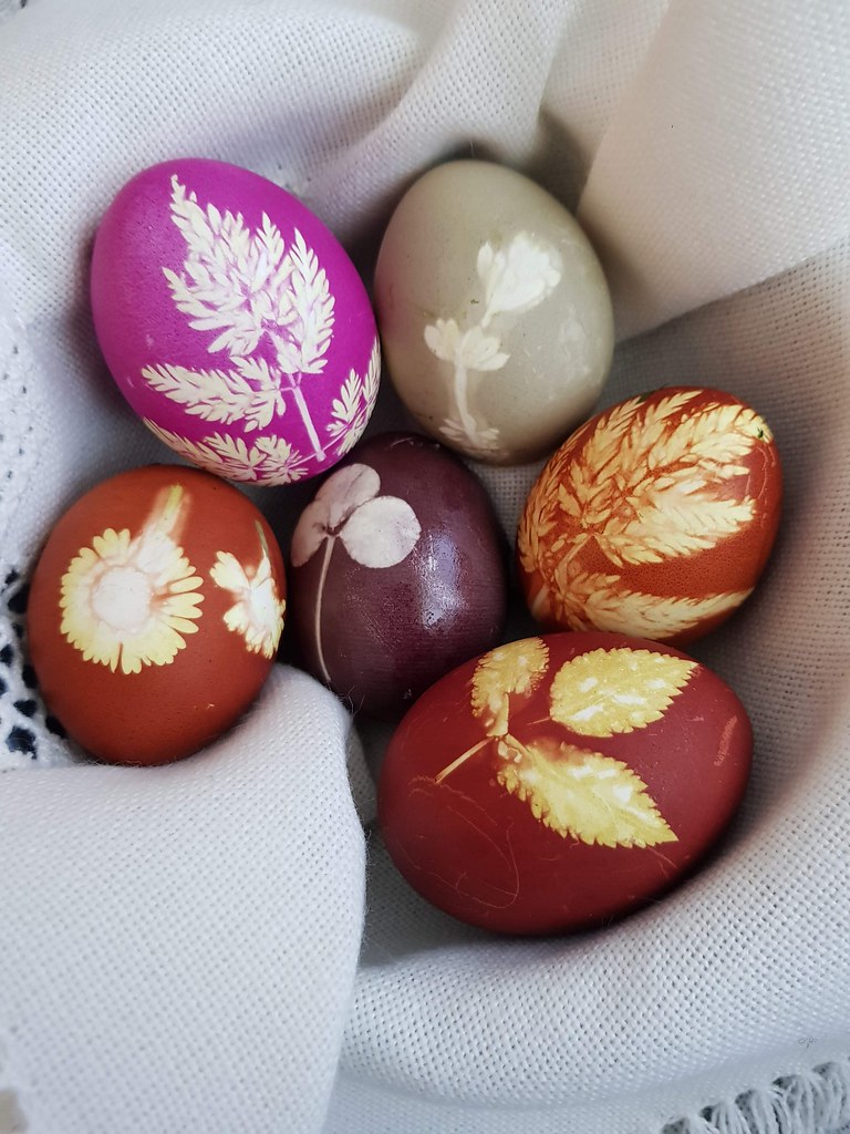 20210404_095250 easter eggs Switzerland Erika Meyer Flickr