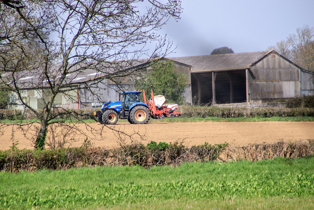 Next to Cartgate Picnic Area, Yeovil, Somerset. David Austin Flickr