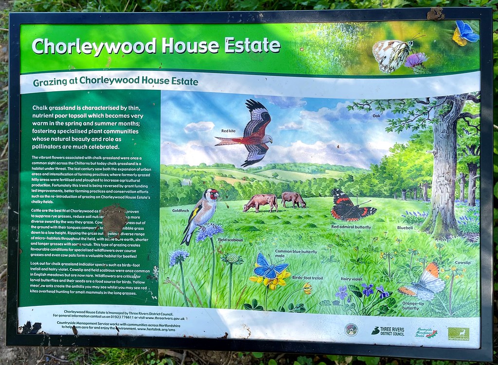 Chorleywood House Estate Nature Reserve walk, Chorleywood … Flickr