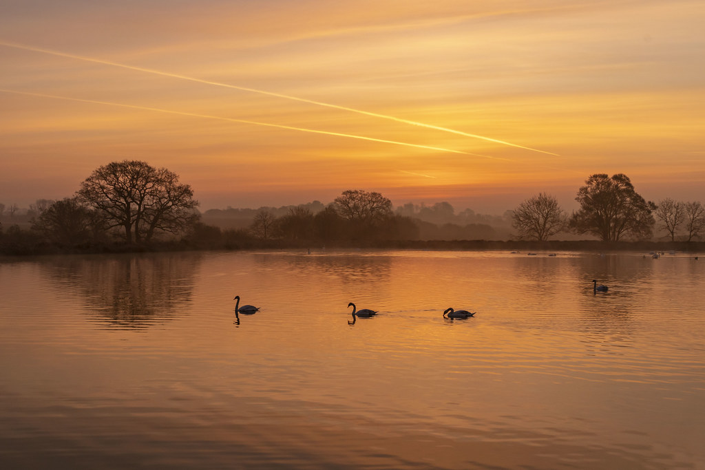 Beautiful light this morning. Hertfordshire David Francis Flickr