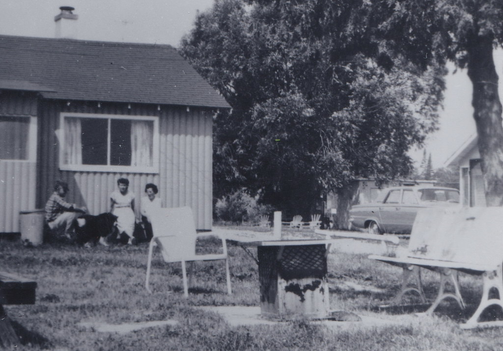 UP DeTour Village MI RPPC c.1960 HAMILTONS CARIBOU LAKE RE… Flickr