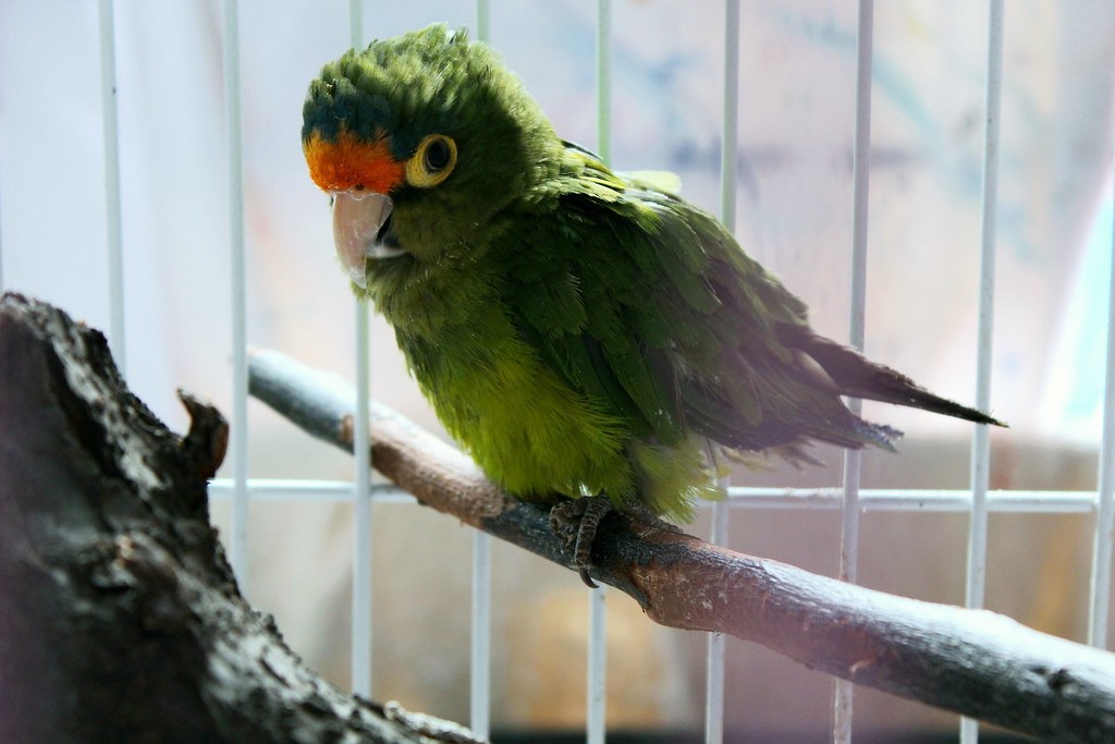 Untitled Fatima Lozano Flickr