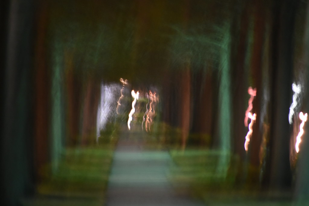 DSC_9012 Michael Varnum Flickr