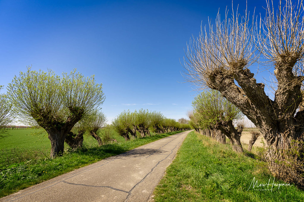 Willow road One of the more remarkable smaller roads in Ze… Flickr