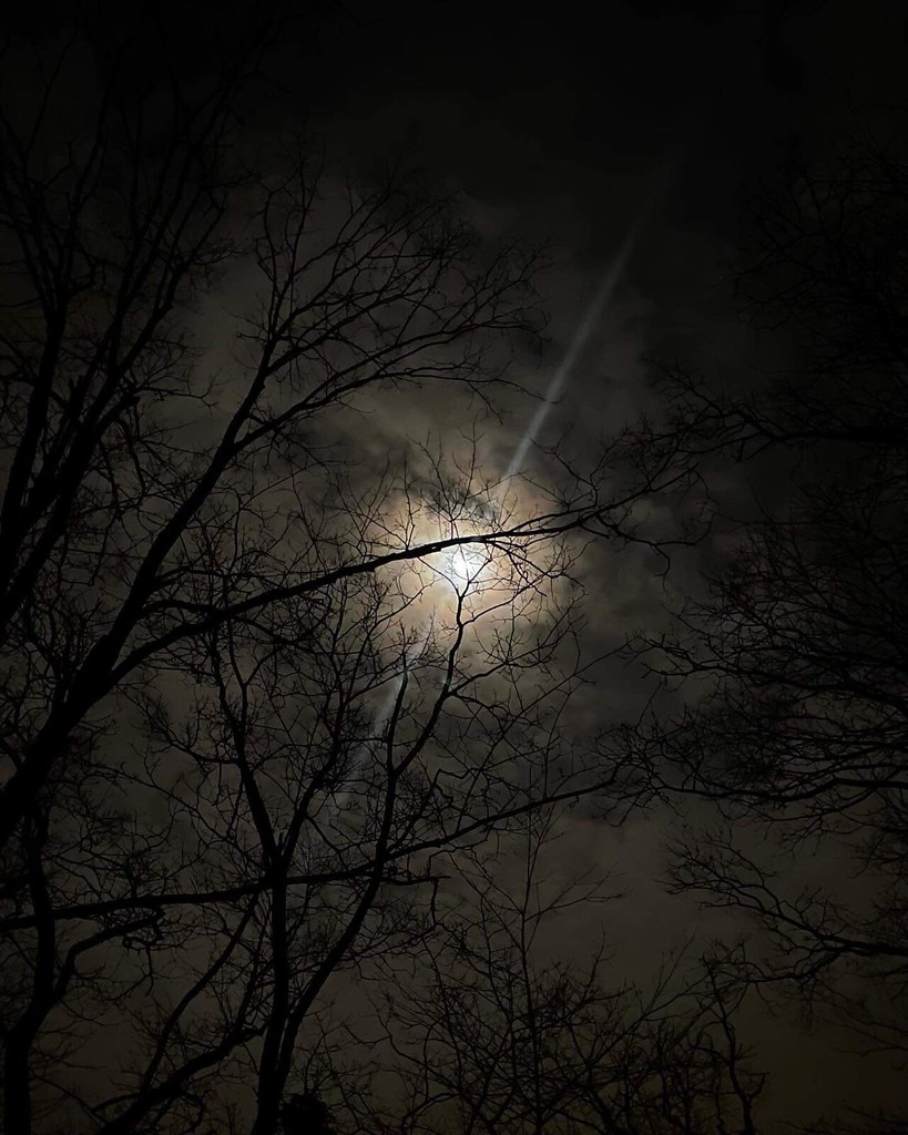 Darkness falls… Valhalla, New York Lord Soth Flickr
