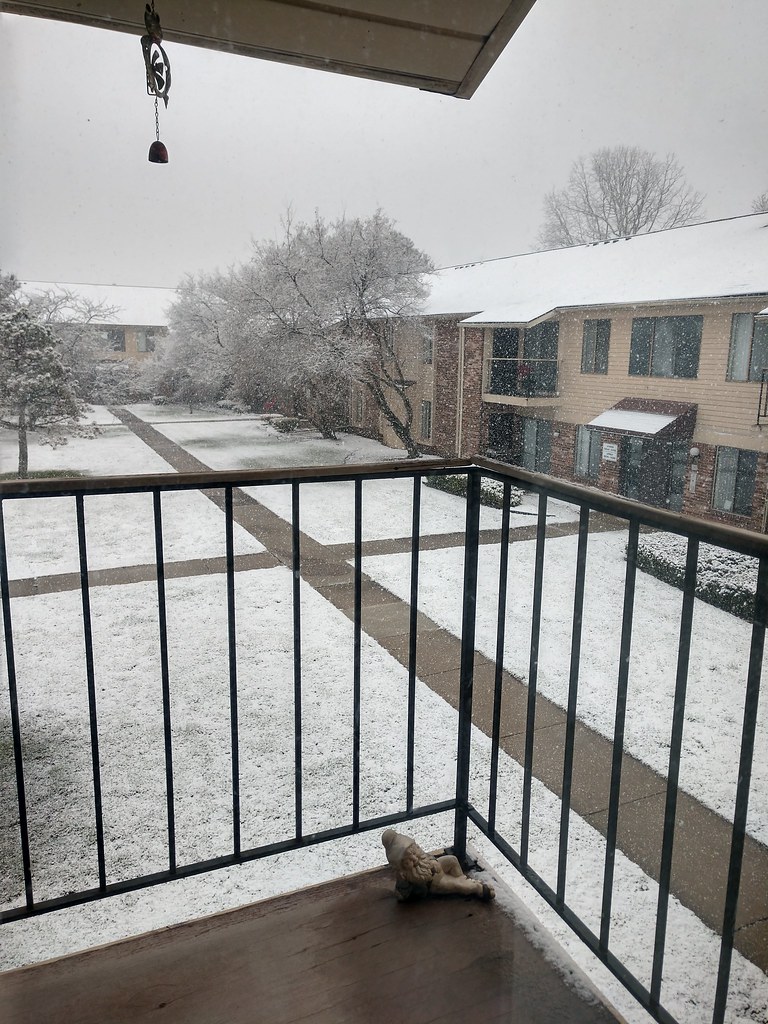 snowed all day April day Livonia, Michigan. kiminnyc Flickr