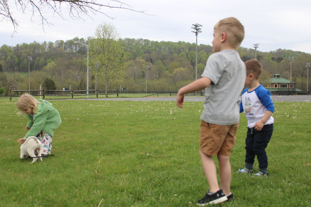 IMG_1486 Courtney Burger Flickr