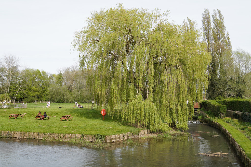 Holme Mills (Jordan's) Biggleswade River Ivel Neil Pulling Flickr