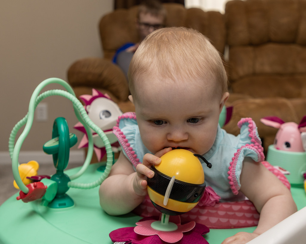 ROSEMARY EASTER52175 David Centifanto Flickr