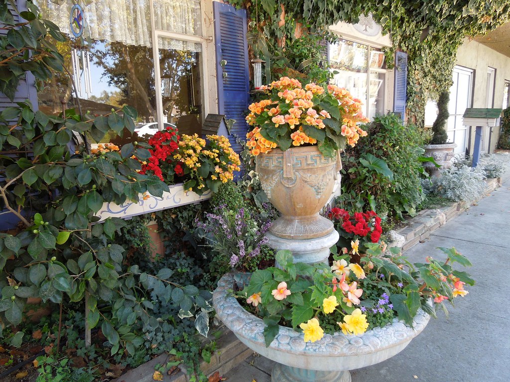 A Shop in Atascadero CA I was attracted to the colorful di… Flickr