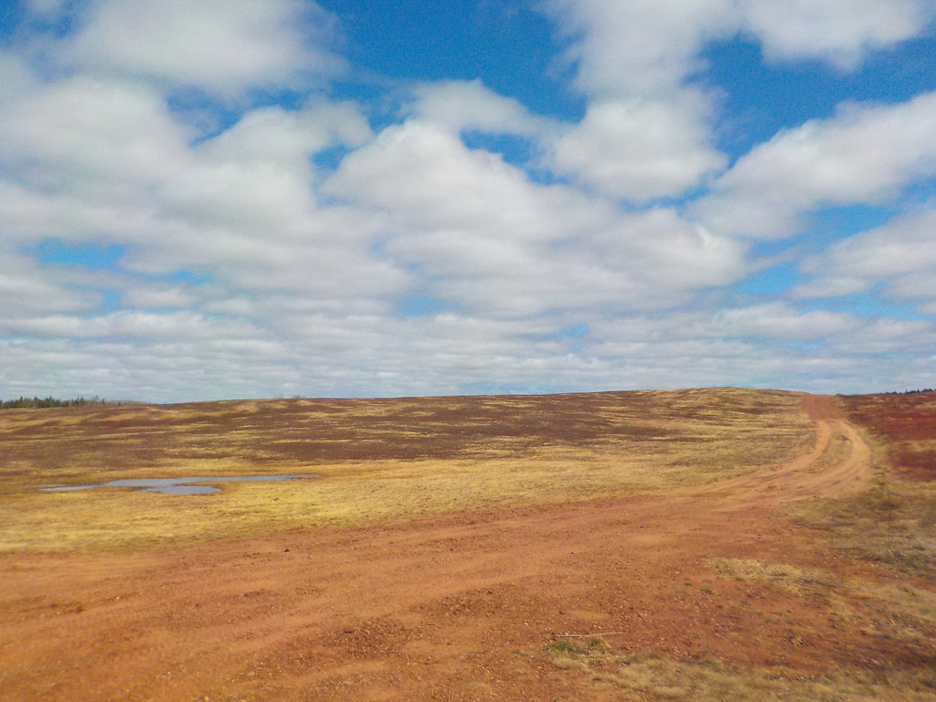 Wood Islands, PEI April 18, 2022 Larry Flickr