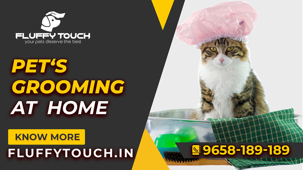pet grooming home service FluffyTouch is aim to groom and … Flickr