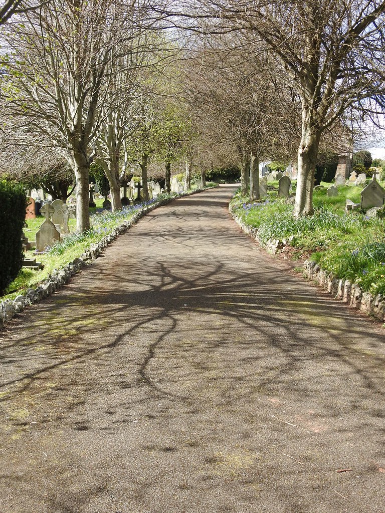 Spring avenue Paul McClure Flickr